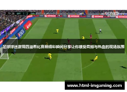 足球球迷激情四溢看比赛最精彩瞬间分享让你感受震撼与热血的现场氛围