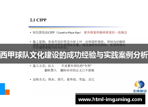 西甲球队文化建设的成功经验与实践案例分析