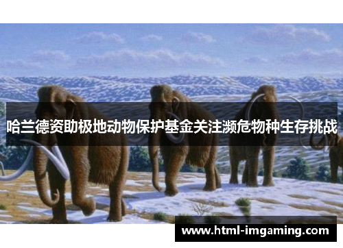 哈兰德资助极地动物保护基金关注濒危物种生存挑战