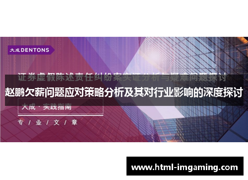 赵鹏欠薪问题应对策略分析及其对行业影响的深度探讨