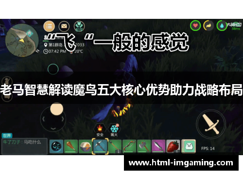 老马智慧解读魔鸟五大核心优势助力战略布局