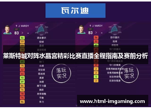 莱斯特城对阵水晶宫精彩比赛直播全程指南及赛前分析